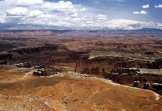 Click for large image