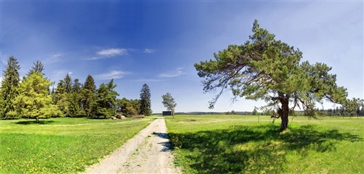 Click for large image